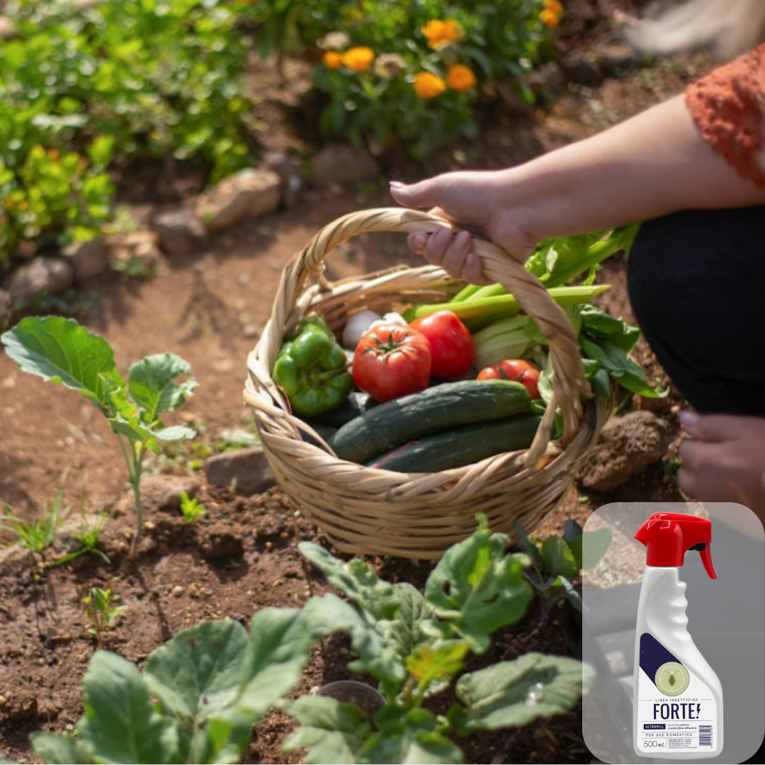 Fertilizzante Spray (13)