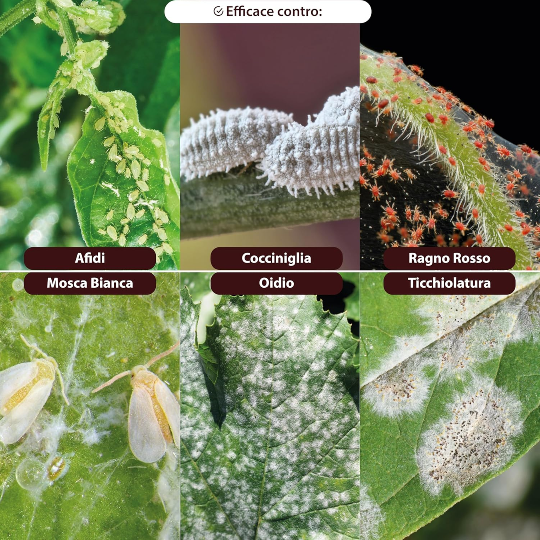 Fertilizzante Spray (2)